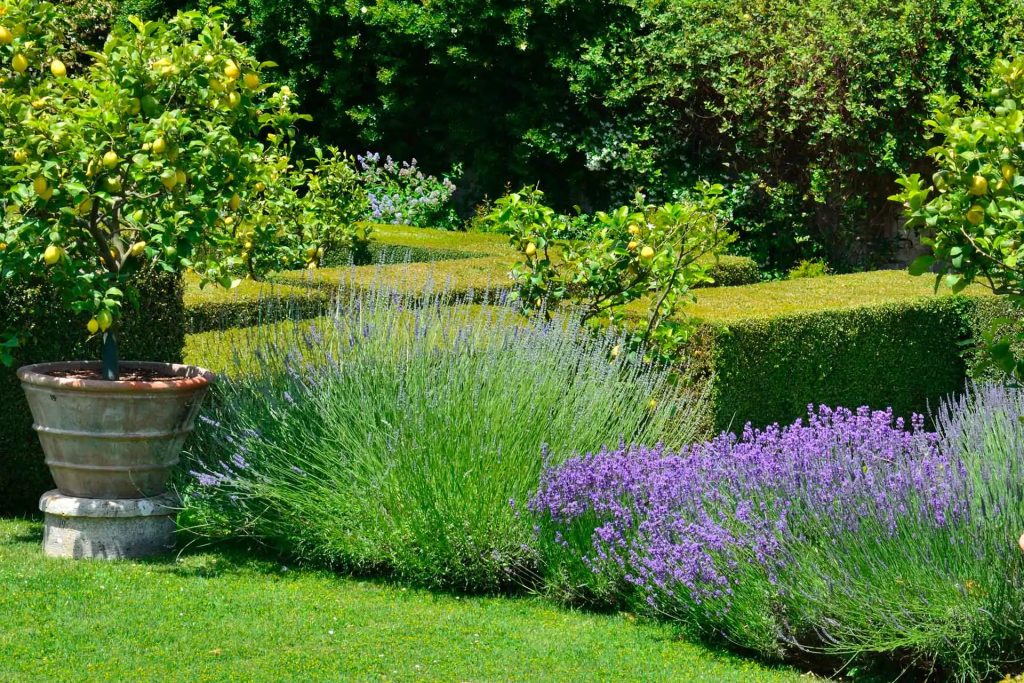 La Foce historical event venue in the Val D&#039;Orcia